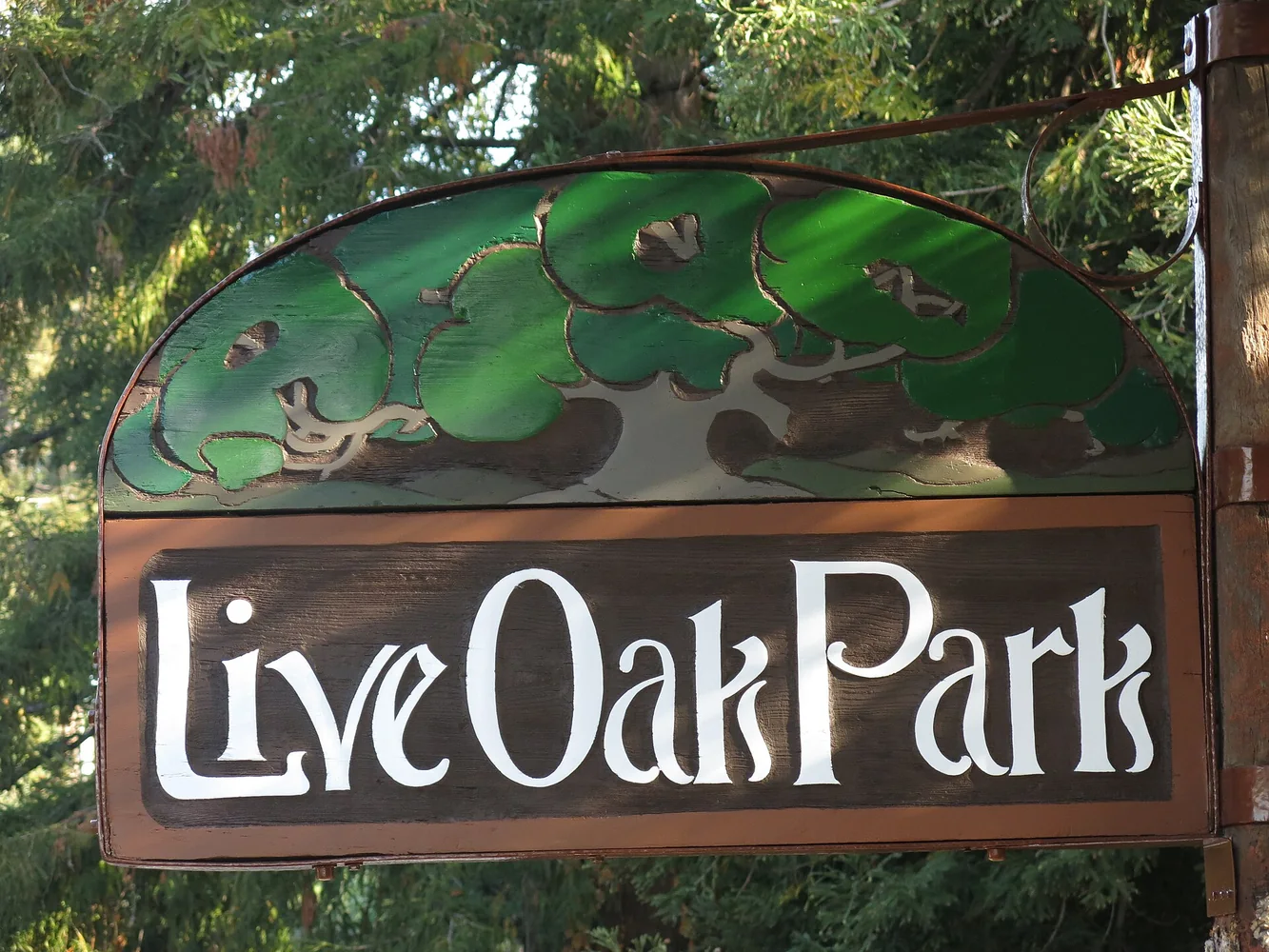 Painted wooden entrance sign beneath trees at Live Oak Park in North Berkeley