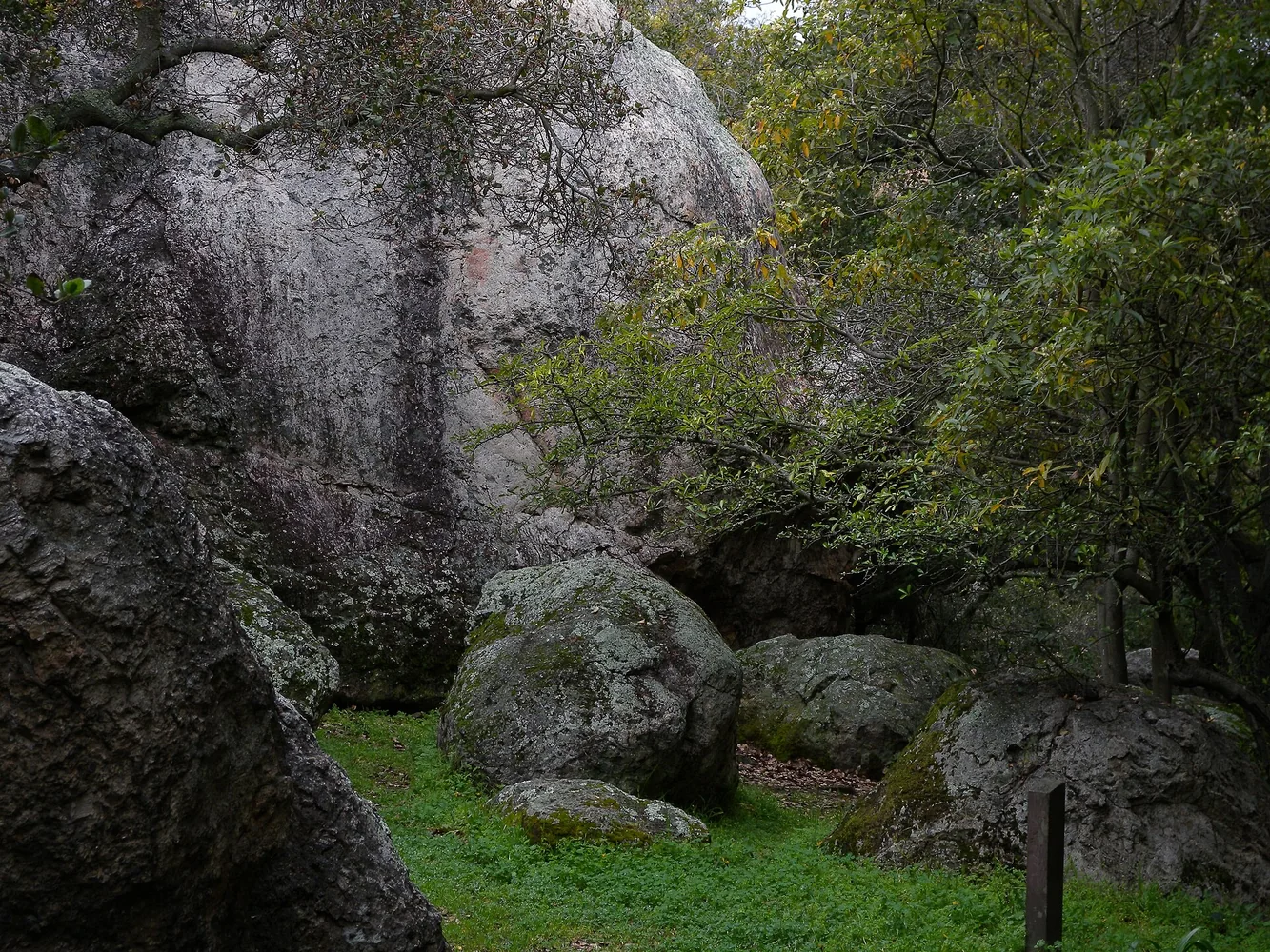 Large natural rock formations among trees at Great Stoneface Park in Northbrae