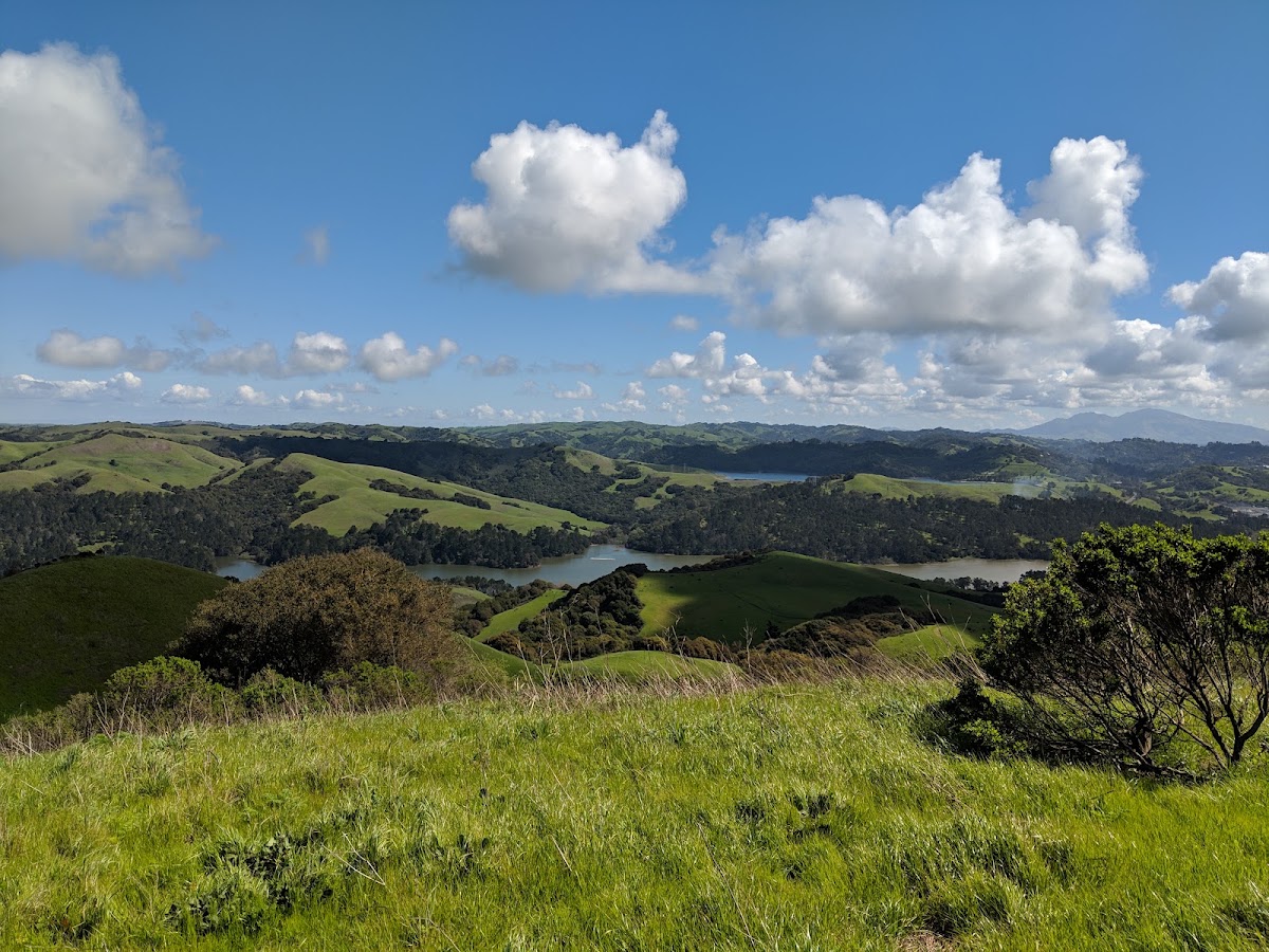 Tilden Regional Park in Berkeley