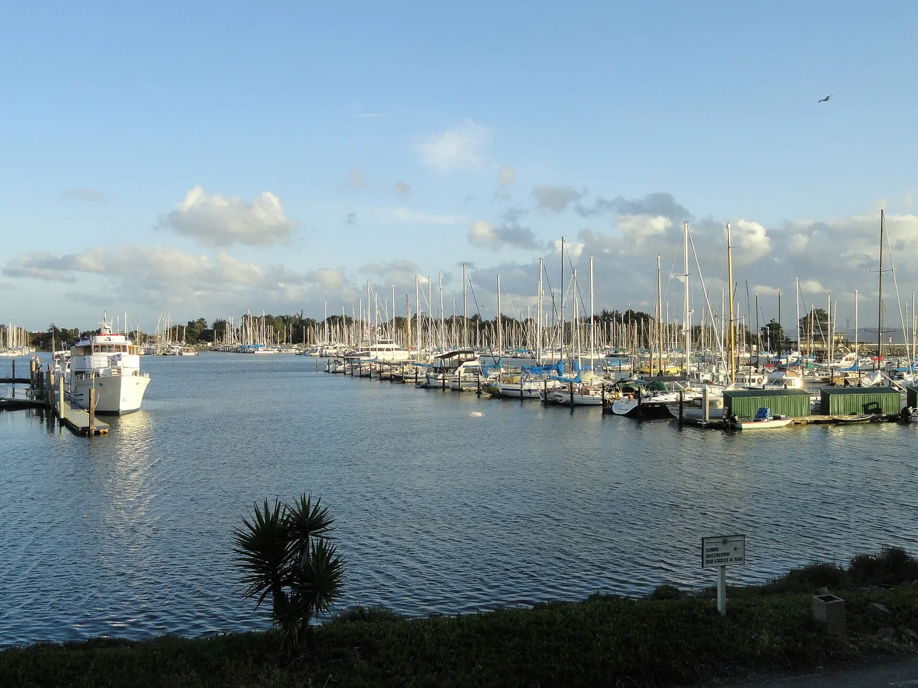 Sailboats and docks on the water at the Berkeley Marina