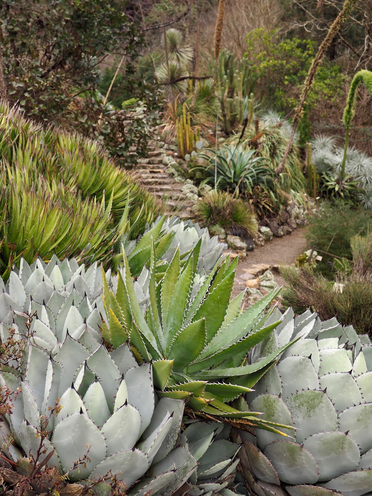 UC Botanical Garden in Berkeley