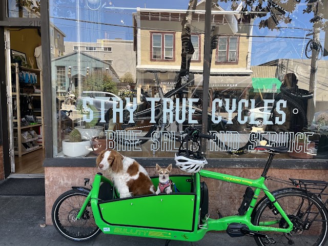 Stay True Cycles photo 2